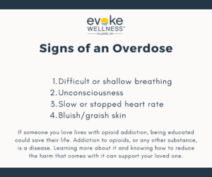 dangers of hydrocodone infographic