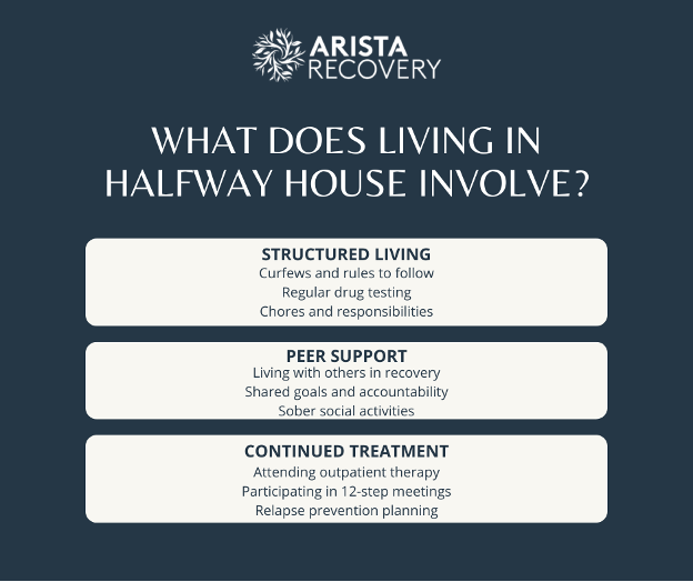 Halfwayhouseinfographic