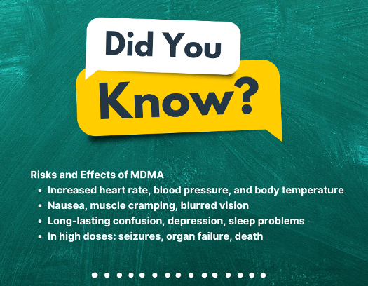 the truth about molly infographic
