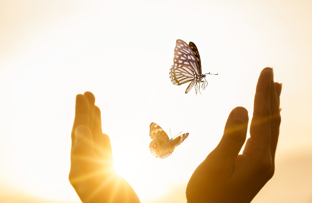hands release two butterflies
