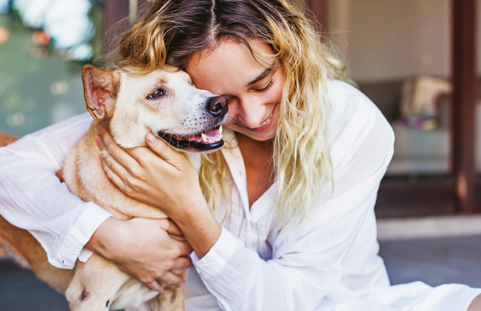 Can You Bring Your Pet to Drug Rehab With You