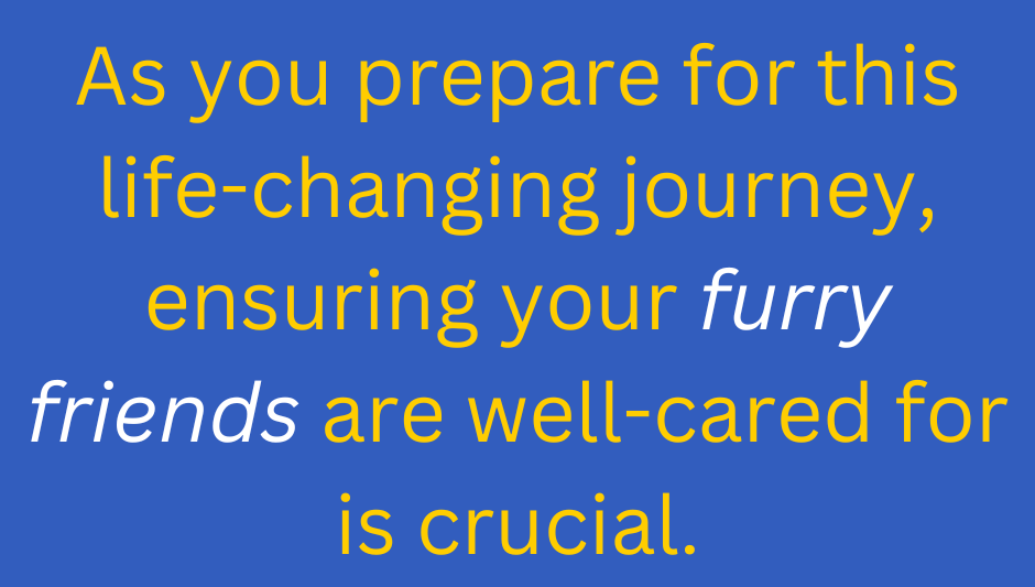 Finding Temporary Pet Care