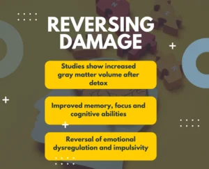 The Benefits of Medical Detox for the Brain